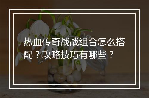 热血传奇战战组合怎么搭配？攻略技巧有哪些？