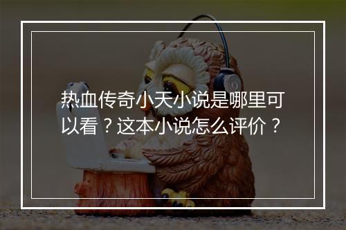 热血传奇小天小说是哪里可以看？这本小说怎么评价？