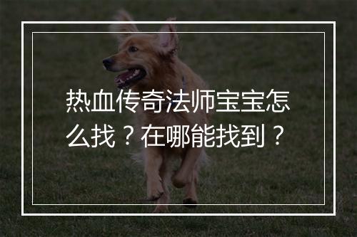 热血传奇法师宝宝怎么找？在哪能找到？