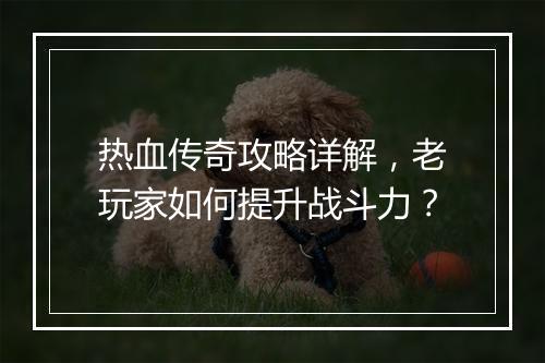 热血传奇攻略详解，老玩家如何提升战斗力？