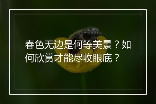 春色无边是何等美景？如何欣赏才能尽收眼底？