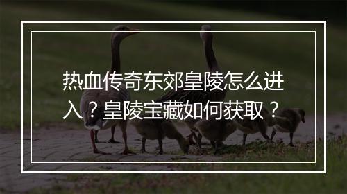热血传奇东郊皇陵怎么进入？皇陵宝藏如何获取？