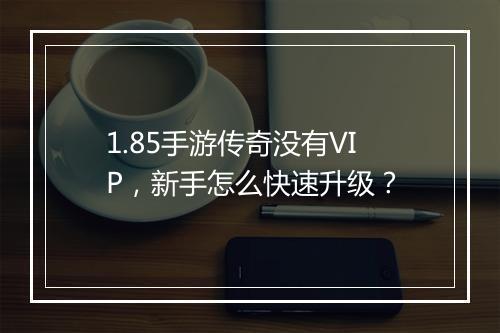 1.85手游传奇没有VIP，新手怎么快速升级？