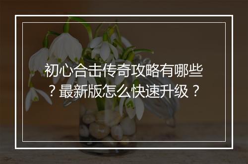 初心合击传奇攻略有哪些？最新版怎么快速升级？