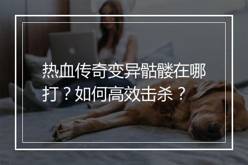 热血传奇变异骷髅在哪打？如何高效击杀？