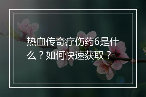 热血传奇疗伤药6是什么？如何快速获取？