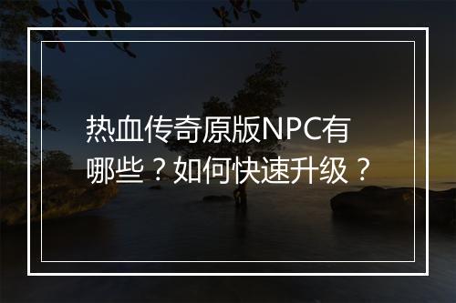 热血传奇原版NPC有哪些？如何快速升级？