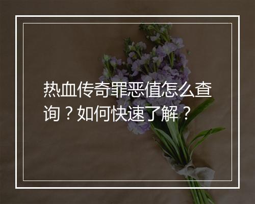 热血传奇罪恶值怎么查询？如何快速了解？