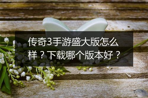 传奇3手游盛大版怎么样？下载哪个版本好？