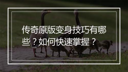 传奇原版变身技巧有哪些？如何快速掌握？