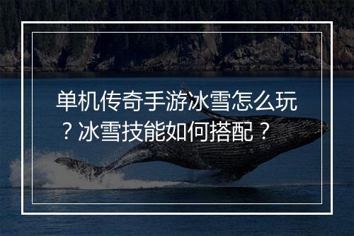 单机传奇手游冰雪怎么玩？冰雪技能如何搭配？