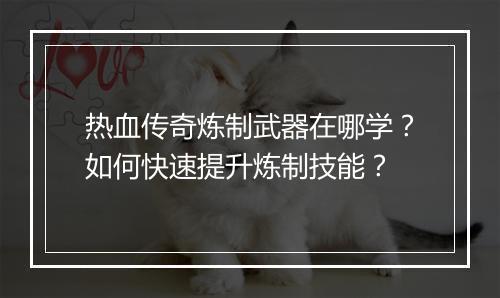 热血传奇炼制武器在哪学？如何快速提升炼制技能？