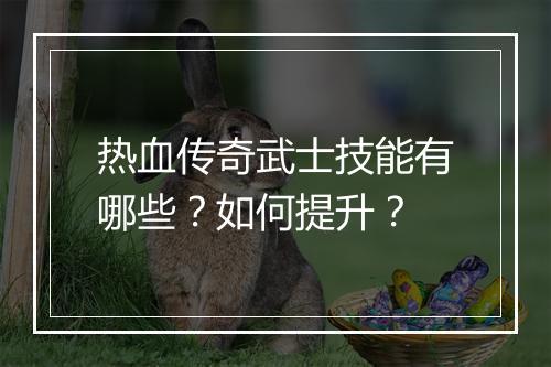 热血传奇武士技能有哪些？如何提升？