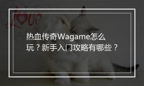 热血传奇Wagame怎么玩？新手入门攻略有哪些？