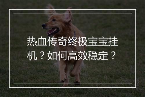 热血传奇终极宝宝挂机？如何高效稳定？