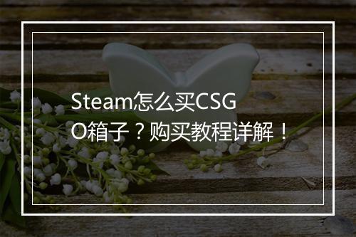 Steam怎么买CSGO箱子？购买教程详解！