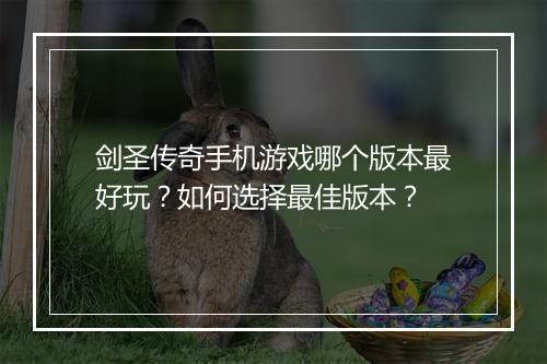 剑圣传奇手机游戏哪个版本最好玩？如何选择最佳版本？