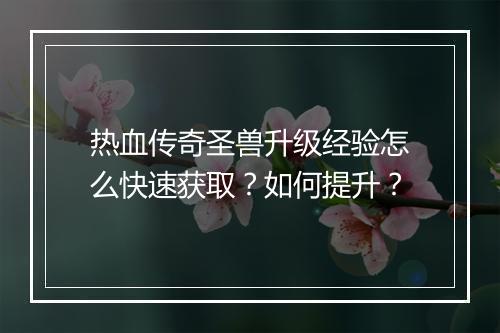 热血传奇圣兽升级经验怎么快速获取？如何提升？