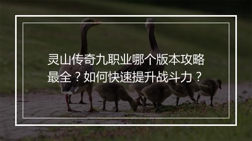 灵山传奇九职业哪个版本攻略最全？如何快速提升战斗力？