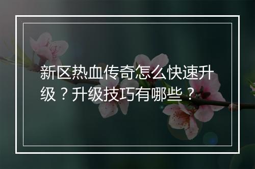 新区热血传奇怎么快速升级？升级技巧有哪些？