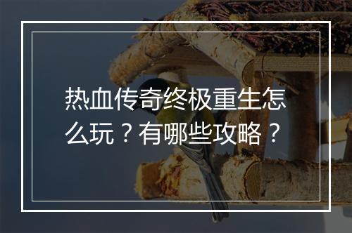 热血传奇终极重生怎么玩？有哪些攻略？