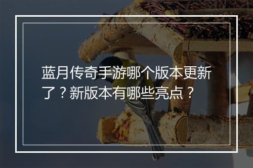 蓝月传奇手游哪个版本更新了？新版本有哪些亮点？