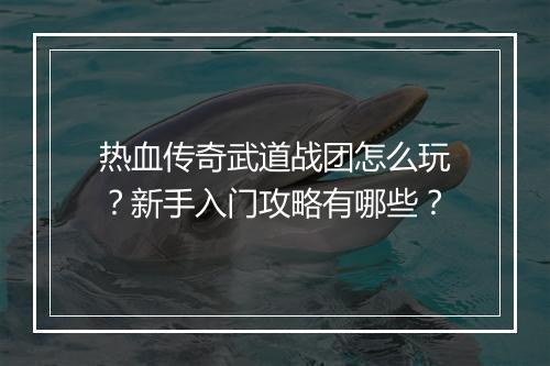 热血传奇武道战团怎么玩？新手入门攻略有哪些？