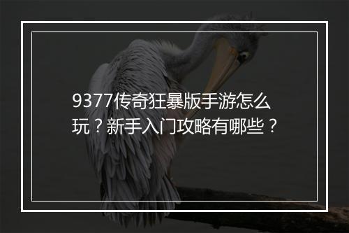 9377传奇狂暴版手游怎么玩？新手入门攻略有哪些？