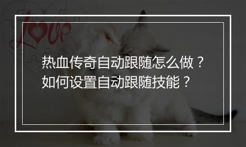 热血传奇自动跟随怎么做？如何设置自动跟随技能？