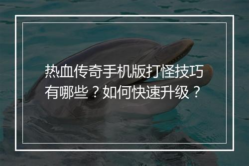 热血传奇手机版打怪技巧有哪些？如何快速升级？