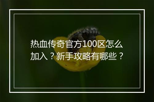 热血传奇官方100区怎么加入？新手攻略有哪些？