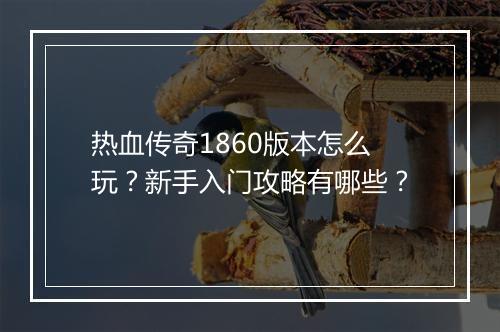 热血传奇1860版本怎么玩？新手入门攻略有哪些？