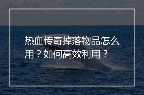 热血传奇掉落物品怎么用？如何高效利用？