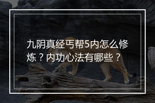 九阴真经丐帮5内怎么修炼？内功心法有哪些？