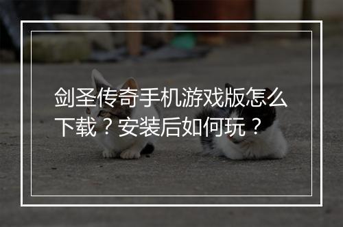 剑圣传奇手机游戏版怎么下载？安装后如何玩？