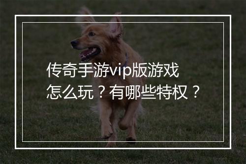 传奇手游vip版游戏怎么玩？有哪些特权？