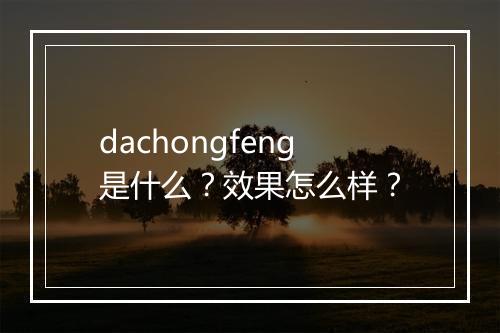 dachongfeng是什么？效果怎么样？