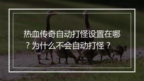 热血传奇自动打怪设置在哪？为什么不会自动打怪？