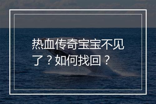 热血传奇宝宝不见了？如何找回？
