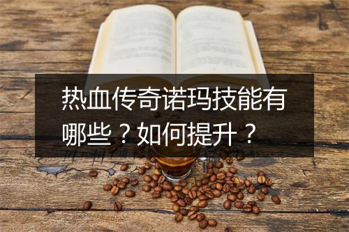 热血传奇诺玛技能有哪些？如何提升？