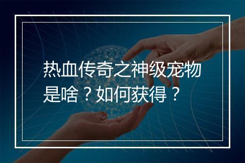 热血传奇之神级宠物是啥？如何获得？