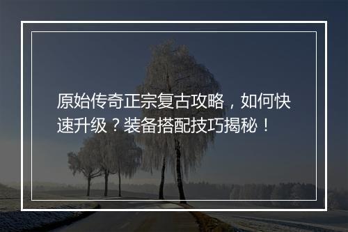 原始传奇正宗复古攻略，如何快速升级？装备搭配技巧揭秘！