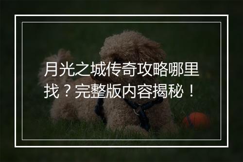 月光之城传奇攻略哪里找？完整版内容揭秘！