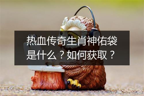 热血传奇生肖神佑袋是什么？如何获取？