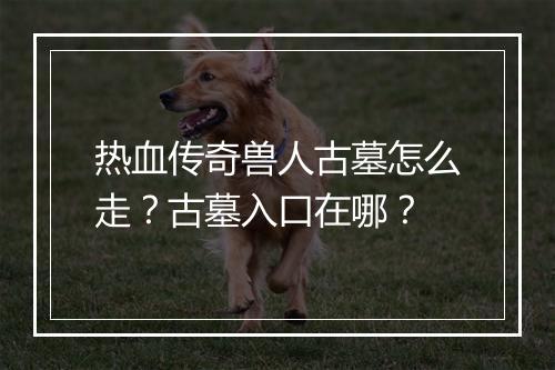 热血传奇兽人古墓怎么走？古墓入口在哪？