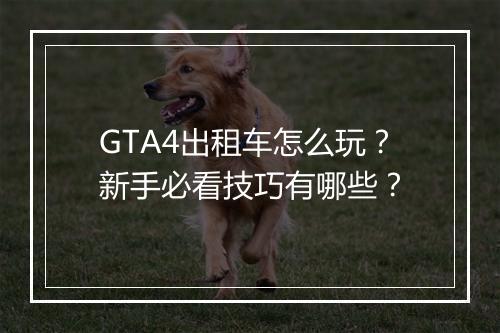 GTA4出租车怎么玩？新手必看技巧有哪些？