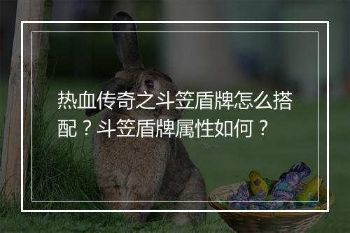 热血传奇之斗笠盾牌怎么搭配？斗笠盾牌属性如何？
