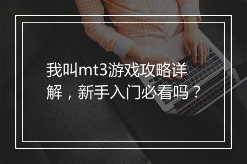 我叫mt3游戏攻略详解，新手入门必看吗？