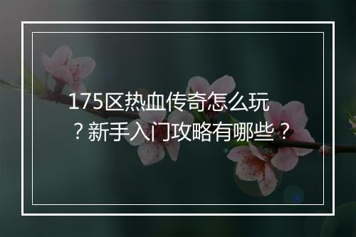175区热血传奇怎么玩？新手入门攻略有哪些？