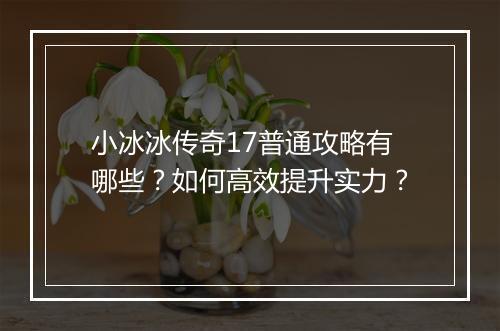 小冰冰传奇17普通攻略有哪些？如何高效提升实力？